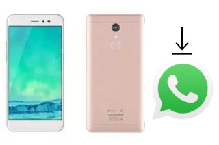 Cómo instalar WhatsApp en un Coolpad TipTop N1S