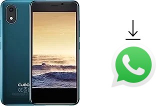 Cómo instalar WhatsApp en un Cubot J20