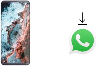 Cómo instalar WhatsApp en un Cubot Max 2