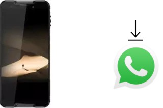 Cómo instalar WhatsApp en un Cubot Quest