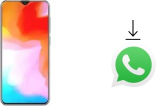 Cómo instalar WhatsApp en un Cubot X20 Pro