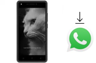 Cómo instalar WhatsApp en un DEXP BL250