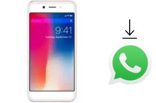 Cómo instalar WhatsApp en un DEXP G250