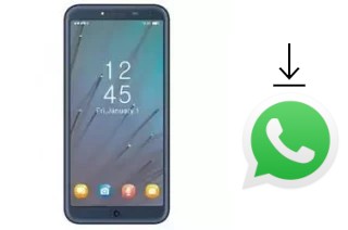 Cómo instalar WhatsApp en un DEXP Ixion Z255