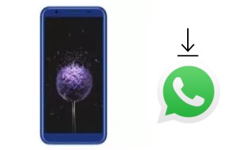 Cómo instalar WhatsApp en un DEXP Z355