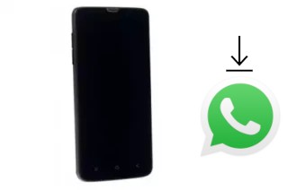 Cómo instalar WhatsApp en un DNS S4704