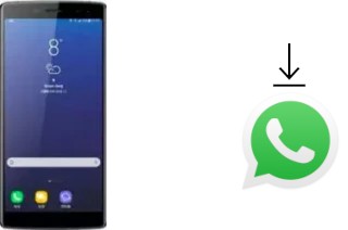 Cómo instalar WhatsApp en un Doogee BL12000