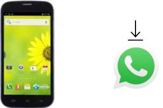 Cómo instalar WhatsApp en un Doogee Discovery DG500C