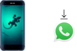 Cómo instalar WhatsApp en un Doogee F3 Pro