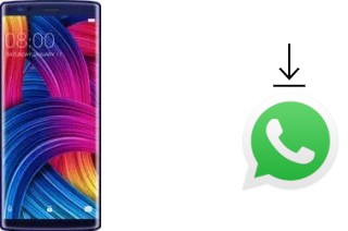 Cómo instalar WhatsApp en un Doogee Mix 2