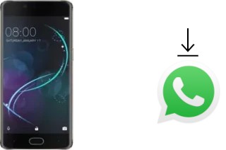 Cómo instalar WhatsApp en un Doogee Shoot 1