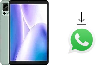 Cómo instalar WhatsApp en un Doogee T20mini