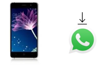 Cómo instalar WhatsApp en un Doogee X10S