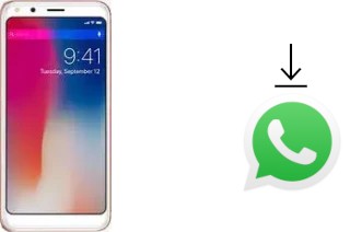 Cómo instalar WhatsApp en un Doogee X53