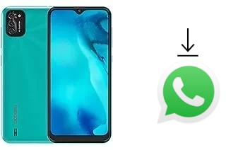 Cómo instalar WhatsApp en un Doogee X93