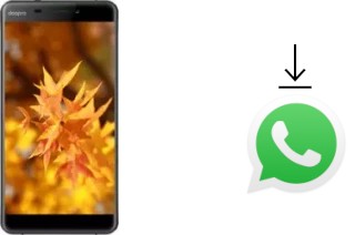 Cómo instalar WhatsApp en un Doopro C1 Pro