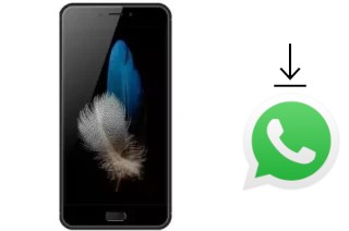 Cómo instalar WhatsApp en un Eko Omega Q57