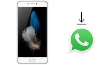 Cómo instalar WhatsApp en un Eko Star G50