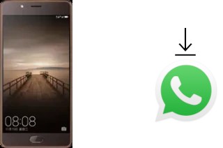 Cómo instalar WhatsApp en un Elephone P8 (2017)