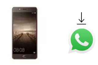 Cómo instalar WhatsApp en un Elephone P8 Mini