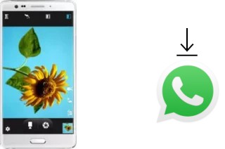 Cómo instalar WhatsApp en un Elephone P8 Pro