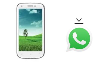 Cómo instalar WhatsApp en un Evertek Everclassic