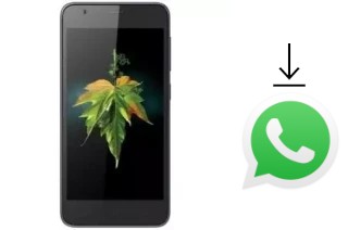 Cómo instalar WhatsApp en un Evertek EverSlim Nano