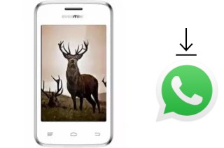 Cómo instalar WhatsApp en un Evertek Evertrendy II