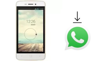 Cómo instalar WhatsApp en un Evertek M1 Mini