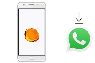 Cómo instalar WhatsApp en un ExMobile Chat 9 Max