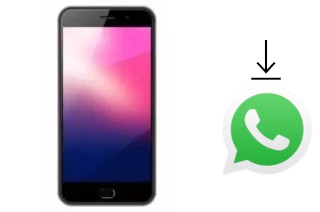 Cómo instalar WhatsApp en un ExMobile Chat 9