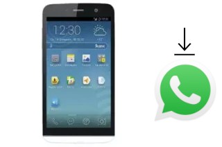 Cómo instalar WhatsApp en un Explay Flame