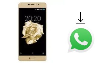 Cómo instalar WhatsApp en un Fero Royale X2