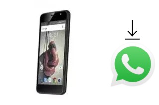 Cómo instalar WhatsApp en un Fly Knockout