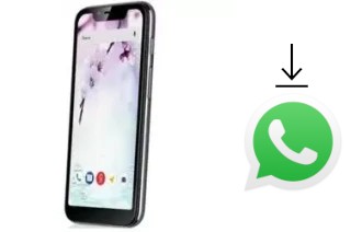 Cómo instalar WhatsApp en un Fly View