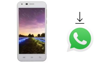 Cómo instalar WhatsApp en un FPT Life 5 Star