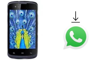 Cómo instalar WhatsApp en un Gionee Ctrl V1