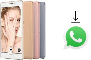 Cómo instalar WhatsApp en un Gionee S8