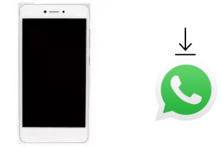 Cómo instalar WhatsApp en un Gionee F100