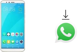 Cómo instalar WhatsApp en un Gionee F6