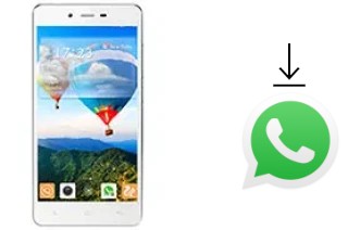 Cómo instalar WhatsApp en un Gionee Marathon M3