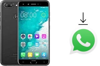 Cómo instalar WhatsApp en un Gionee S10