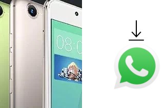 Cómo instalar WhatsApp en un Gionee S10C