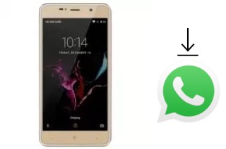 Cómo instalar WhatsApp en un Gooweel M15