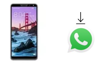 Cómo instalar WhatsApp en un Gooweel M5 Plus