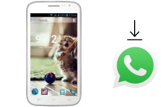 Cómo instalar WhatsApp en un GPhone Bold