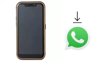 Cómo instalar WhatsApp en un Guophone X3