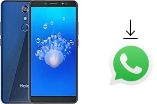 Cómo instalar WhatsApp en un Haier L6