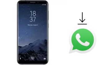 Cómo instalar WhatsApp en un HomTom R17