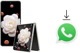 Cómo instalar WhatsApp en un Honor Magic V Flip